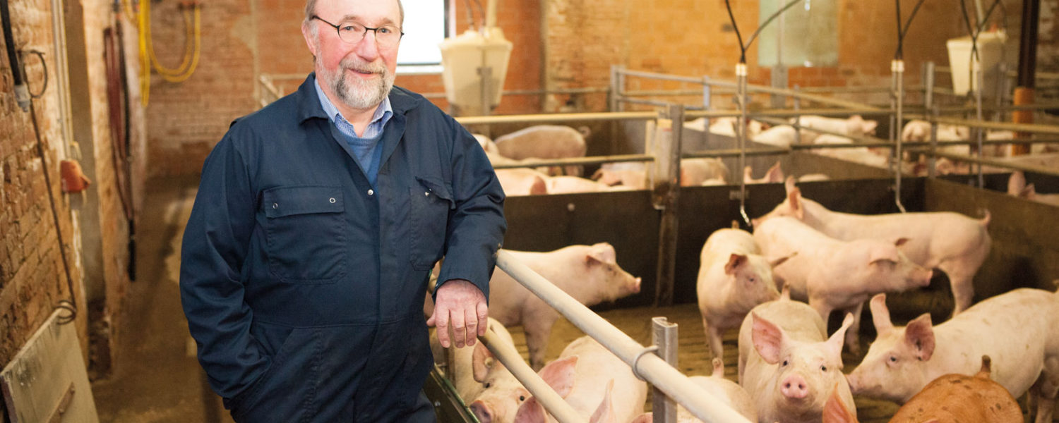 Schweinewirt mit Schweinen, Peter Horstmann, Uelsby